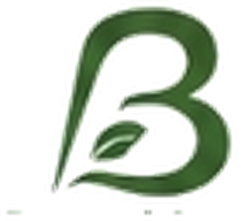 Bawany Sugar Mills logo