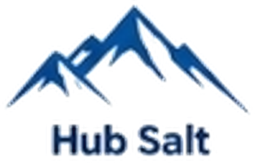 Hub Salt logo
